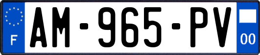 AM-965-PV
