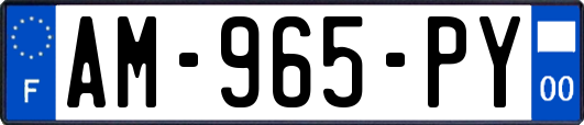 AM-965-PY