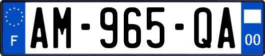 AM-965-QA