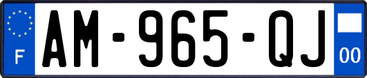 AM-965-QJ