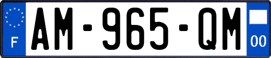 AM-965-QM