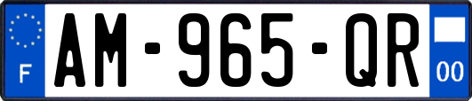 AM-965-QR