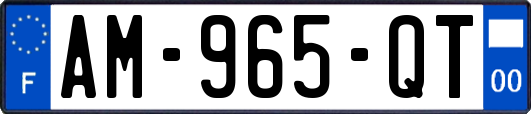 AM-965-QT