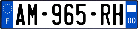 AM-965-RH