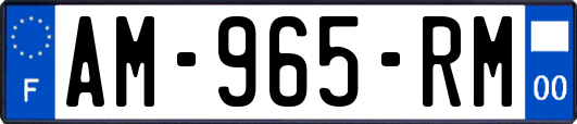 AM-965-RM