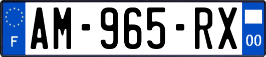 AM-965-RX