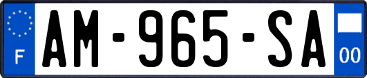 AM-965-SA