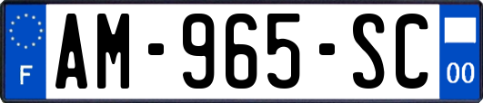 AM-965-SC