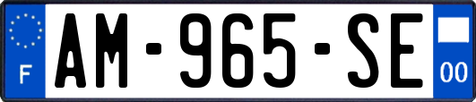 AM-965-SE