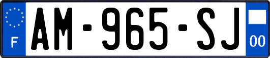 AM-965-SJ