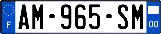 AM-965-SM