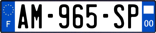 AM-965-SP