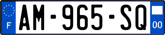 AM-965-SQ
