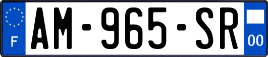AM-965-SR