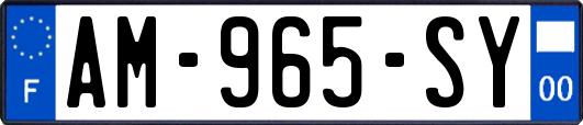 AM-965-SY