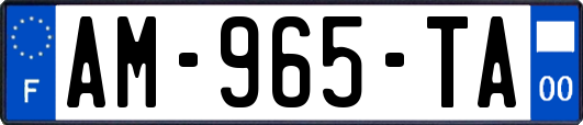 AM-965-TA