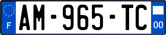 AM-965-TC