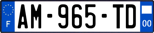 AM-965-TD
