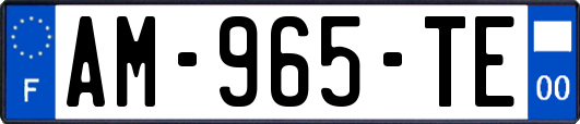 AM-965-TE