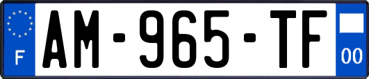 AM-965-TF