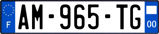 AM-965-TG