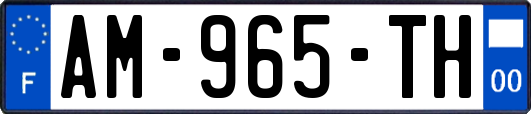 AM-965-TH