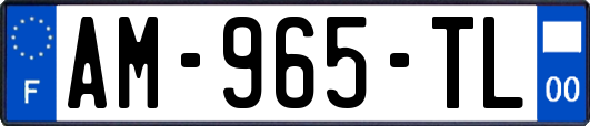 AM-965-TL