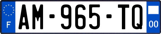 AM-965-TQ