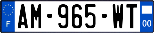 AM-965-WT