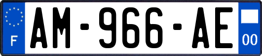 AM-966-AE