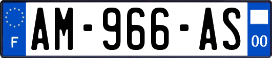 AM-966-AS