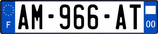 AM-966-AT