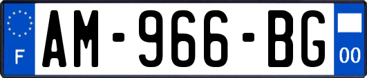 AM-966-BG