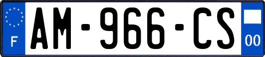 AM-966-CS