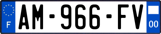AM-966-FV