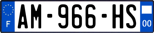 AM-966-HS