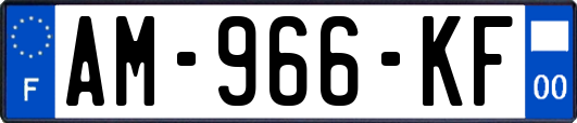 AM-966-KF