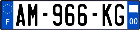 AM-966-KG