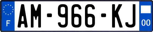 AM-966-KJ