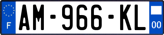 AM-966-KL