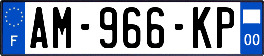 AM-966-KP
