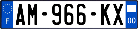 AM-966-KX