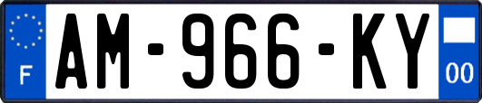 AM-966-KY