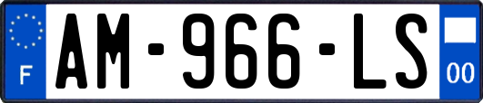 AM-966-LS