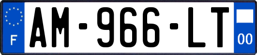 AM-966-LT