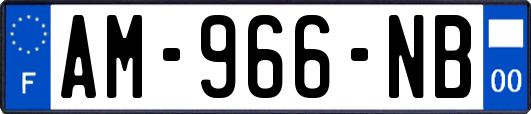 AM-966-NB