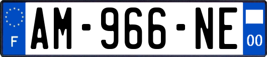 AM-966-NE