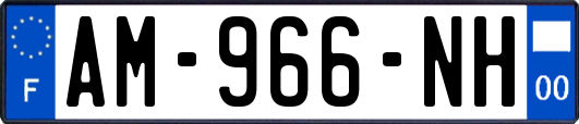 AM-966-NH