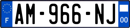 AM-966-NJ