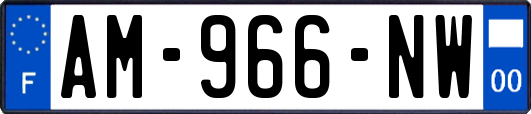 AM-966-NW